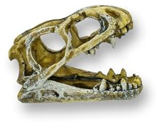 AQ4Aquaristik Dinosaurier Schädel T- Rex Dekoration für Aquarium und Terrarium