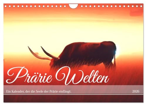 Prärie Welten - Ein Kalender, der die Seele der Prärie einfängt. (Wandkalender 2026 DIN A4 quer), CALVENDO Monatskalender: Prärie Welten: Seele der Wildnis im Kalender. (CALVENDO Natur)