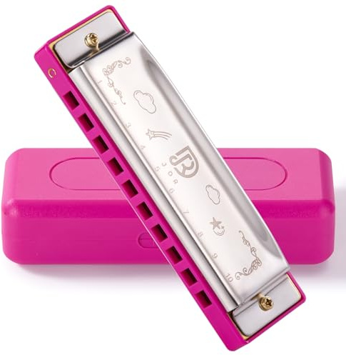 JDR Harmonica Blues C Key 10 trous 20 tons Orgue à bouche avec étui Armonica diatonique pour enfants, joueurs professionnels, débutants, adultes, amis, enseignants, parents, en acier inoxydable noir