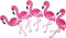 i-Patch - Patches - 0170 - Flamingo - Vogel - Marabu - Reiher - Stelzvogel - Tiere - Zoo - Applikation - Aufbügler - Flicken - Aufnäher - Sticker - Badges - Bügelbild - zum Aufbügeln