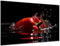 DARO Design - witziges Küchen-Bild auf 6mm HDF 30x20 cm rote Paprika - Wand-Deko Bilder Lustiges Geschenk