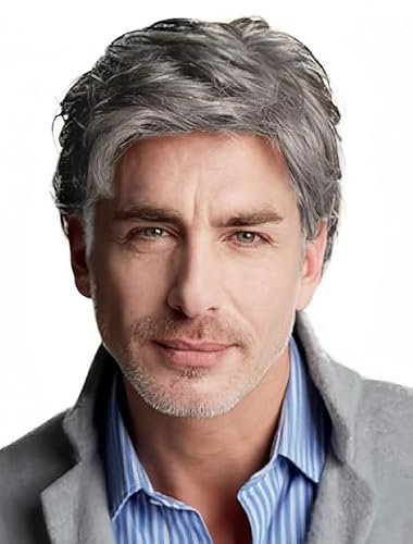Salaibs Grey Short Wigs for Men Natural Layered Synthetic Hair Wig Realistic Heat Resistant Male Daily Cap Wig
