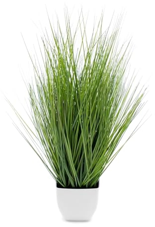 Spetebo Künstliches Isolepsis Gras grün - 60 cm - Kunstpflanze mit weißem Blumentopf - Kunst Topfpflanze Zimmerpflanze Dekorpflanze Kunstblumen Pflanze künstlich