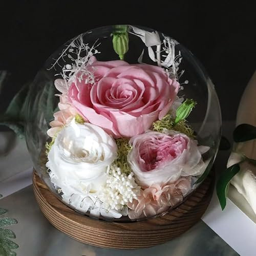 Gugxiom Rose Eternelle sous Cloche, Fleurs Véritables de Longue Durée, avec Lumière LED, Unique pour la Fête des Mères et Noël, Fleurs Préservées Rose Cadeaux (Rose)