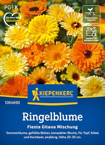 Kiepenkerl Ringelblumensamen Fiesta Gitana Mischung 1064690 - Gefüllte, farbenfrohe Blüten für Beete & Töpfe - Wildblumensamen, Blumenwiese, Saatgut