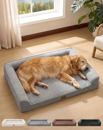 COZY KISS Orthopädisches Hundebett für Sehr Große Hunde, XL 112x81 cm Grau | Rutschfestes, Weiches U-förmiges Hundebett, Wasserdichter, Waschbarer, Abnehmbarer Bezug, Tragbares Haustiersofa