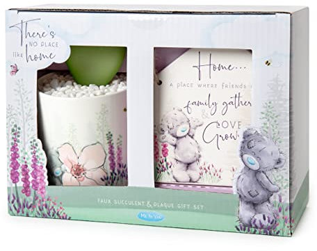 Me to You Tatty Teddy Faux Succulent and Plaque Gift Set