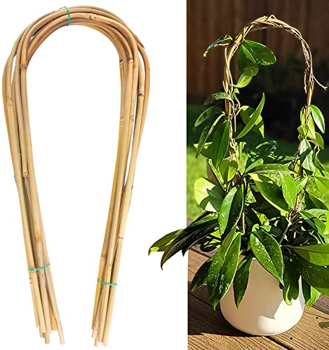 Lot de 20 treillis en bambou naturel pour plantes grimpantes, 40,6 cm, support en forme de U, utilisation en intérieur et en extérieur