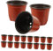 Yardenfun 50 Pièces Pot de Fleurs succulentes jardinière décorative en Pot Pots de Fleurs Pot avec Drainage Jardiniere Plastique Pot de Fleur Interieur semoir à graines Plantes Brown