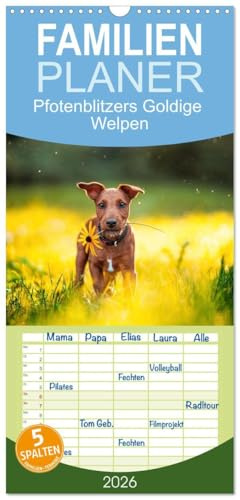 Familienplaner 2026 - Pfotenblitzers Goldige Welpen mit 5 Spalten (Wandkalender, 21 cm x 45 cm), CALVENDO: Süße Hundewelpen von Januar bis Dezember. (CALVENDO Tiere)