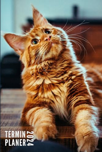 Terminplaner 2024: Katzen - Taschenkalender | 12 Monate | Wochenplaner, Terminkalender von Januar bis Dezember 2024 Ideal für Studenten, Berufstätige ... | Monatsplaner, Kontaktliste, Notizen