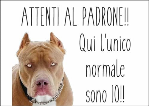 M-ITALY CARTELLO SEGNALETICO - PITBULL ATTENTI AL PADRONE - Adesivo Extra Resistente, Pannello in Forex, Pannello In Alluminio (30x42, Alluminio)