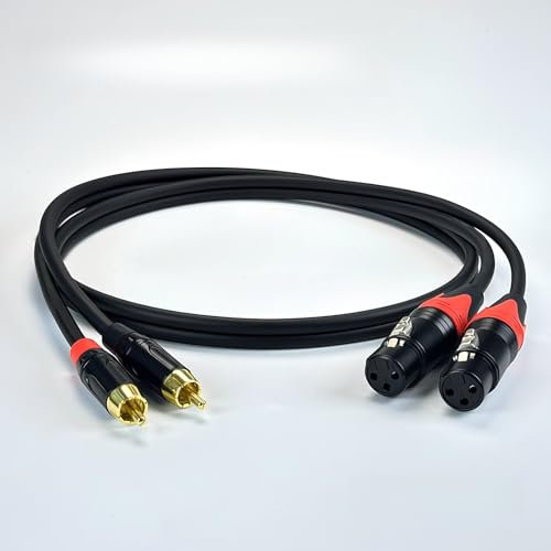 RIKYJIC Cavo XLR maschio a femmina per microfono, adattatore RCA da 3,5 mm e 6,5 mm, linea audio (10 metri, doppio XLR F-Dual RCA M)