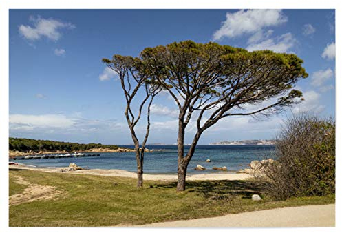 artboxONE Poster 30x20 cm Natur Sommer auf Sardinien hochwertiger Design Kunstdruck - Bild sardinien Holiday Holyday