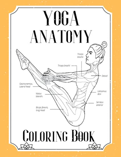Yoga Anatomy Coloring Book: Visual Guide Movement Yoga Poses Coloring Book