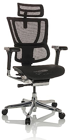 hjh OFFICE Bürostuhl ergonomisch ERGOHUMAN Slim GEN2 Originales Design, 24h Einsatz, Drehstuhl mit Flexibler Lordosenstütze, Netz Schwarz