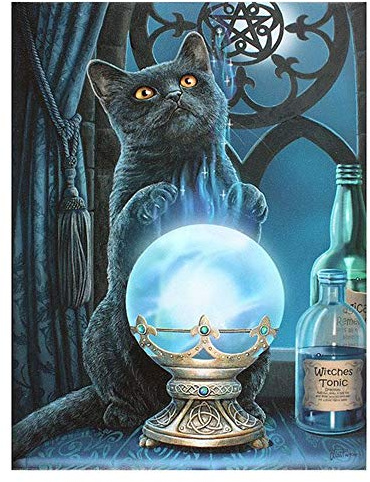 Grindstore Lisa Parker Kunstdruck auf Leinwand, Motiv The Witches Apprentice, 19 x 25 cm