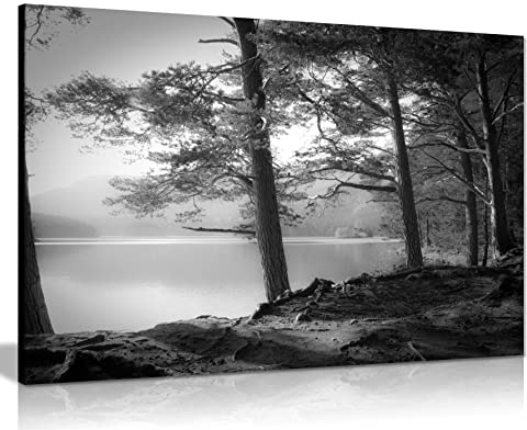 Black and White Framed Wall Art, Large Lake Landscape Canvas 91x61cm | Ready to Hang on Pine Frame, Archival Inks, Pictures for Bedroom Living Room Bathroom Decor, Prints for Walls 36x24in