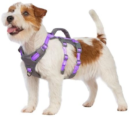 Huntboo Sicherheitsgeschirr Hund Ausbruchsicher, Panikgeschirr für Hunde, Reflektierendes Geschirr Hund mit Griff, Verstellbare Hundegeschirr für kleine, mittelgroße und große Hunde (Lavendel Lila,XS)