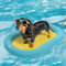 Rampe de natation pour animaux de compagnie, aide à la natation stable avec fonction de sécurité, tapis de natation léger et anti-fuite, flotteur gonflable pour animaux de compagnie