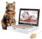 Karton Katzenkratzer 3 in 1 Laptop Scratcher Katzenspielzeug Katzenkratzspielzeug mit Plüsch Maus Katze Computer Scratch Pad Spielzeug Indoor Cat Scratch Pad für Katzen