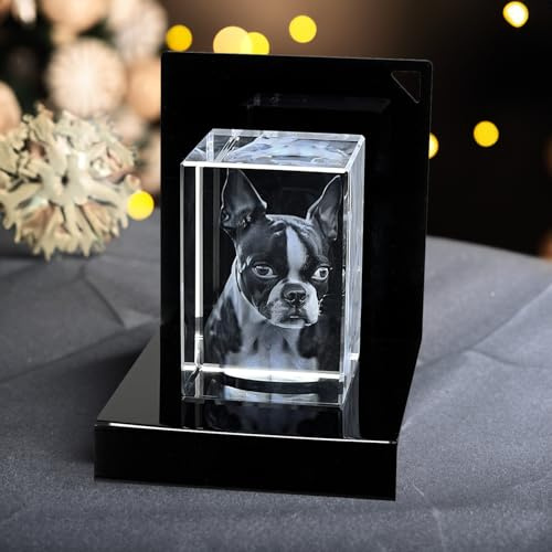 contento 3D Glasfoto mit Gravur | Dein Foto in einen exklusiv Glasblock mit Premium LED Sockel | 2 Personen/Tiere | Außergewöhnliche Geschenkidee zu jedem Anlass | Größe S hoch