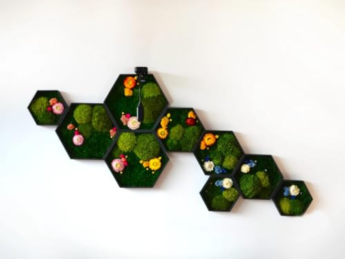MossPerfect Hexagons Honeycomb Art Moosplatten – Moosbilder mit Rahmen – Mooswand Lebend – Moosbild – Pflanzenbilder – Moos Wanddeko Bild Wand – Pflanzenbild