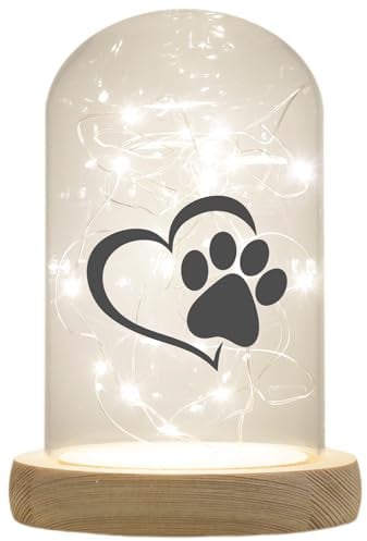 WB wohn trends LED-Glaskuppel, Tier-Pfote Katze Hund Regenbogen-Brücke, 16,5x11cm, Glasglocke mit LED-Licht und Holz-Fuß LED-Laterne LED-Lampe mit Text Spruch