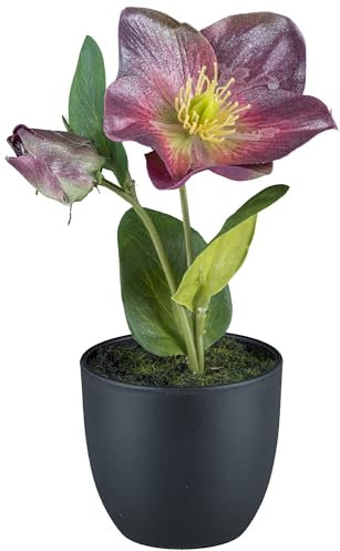 creativ home Kunstblume CHRISTROSE Schneerose, mit Blüte und Knospe im Topf. Ca 19cm. Lila, Amethyst
