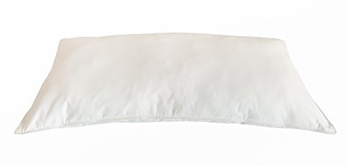 TM Maxx Bettdecke oder Kopfkissen Öko 100% Federdecke • Decke oder Kissen Pure Nature Weiß-Naturfarbe von Wendre (40 x 80 cm)