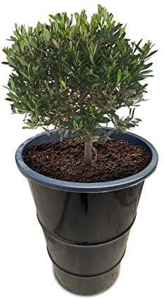 BarrelKings - Jardinière Extérieure - Pot de Fleur Haut - Tonneau - Baril de Pétrole - Aspect Industriel - Noir - Acier - 120 L