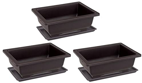 6 piezas de maceta plástica de flores, maceta de bonsai de planta rectangular, recipiente de macetas de árboles suculentas de flores, entrenamiento de bonsai macizo plástico planta rectangular macizo
