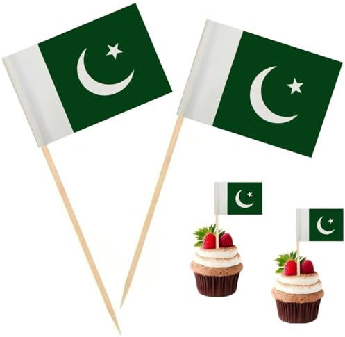 100 Pcs Pakistan Flag Pakistan Toothpick Flags, Cocktail Picks Mini Stick Cupcake Toppers Country Picks Party Decoration Celebration Cocktail Food Bar Cake Flags ﻿