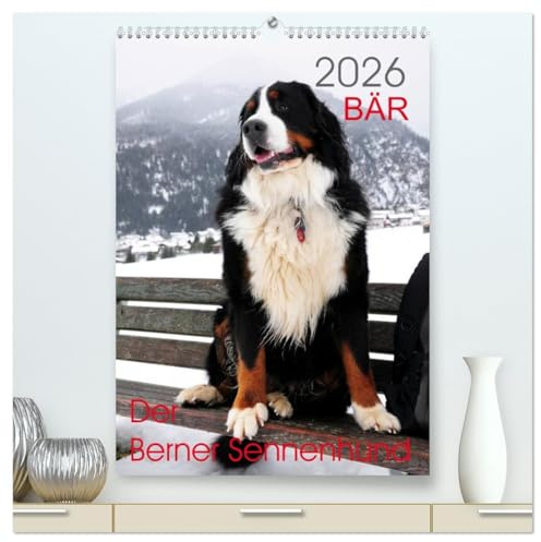 BÄR - Der Berner Sennenhund (hochwertiger Premium Wandkalender 2026 DIN A2 hoch), Kunstdruck in Hochglanz: Fotokalender mit Hundefotografien (CALVENDO Tiere)