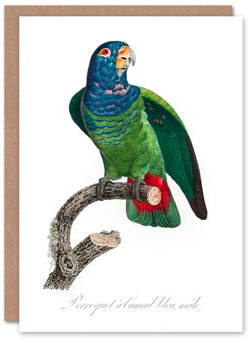 Artery8 Francois Levaillant Art Card The Blue Headed Parrot