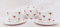 Rose Bud Tea Set for Two Fine Bone China 1 Teapot 2 Cups & 2 Saucer Hand Decorated in UK