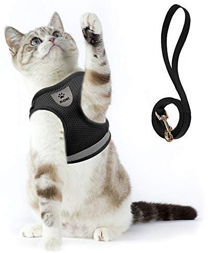 Katzengeschirr und Leine Set zum Spazierengehen Katze kleine Hunde Geschirr Weiches Mesh Verstellbar Weste mit Reflektierendem Gurt Bequeme Passform für Haustier Kätzchen Welpen Kaninchen