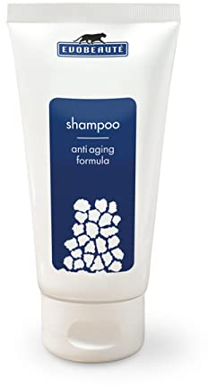 EVOBEAUTÉ Shampoo Anti Aging Formula 150ml I Vitalisierendes Shampoo bei erblich bedingten Haarausfall I Anti-Aging-Kur mit sanfter Reinigung
