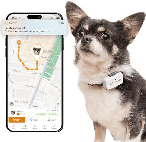 Pawfit Lite for Small Dogs 4g GPS Tracker | Real Time Tracking | Activity Monitoring |Location History | Unlimited Range | Simply White