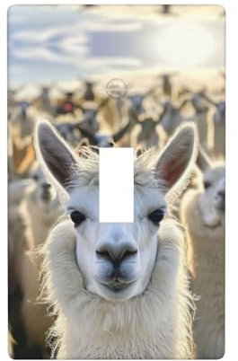 Bonito interruptor de luz de policarbonato con estampado de llama, para pared, baño, cocina, hogar, habitación, una palanca