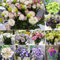 1000pcs graines de fleurs de lisianthus, fleurs doubles grandiflorum, faciles à cultiver, haute germination, idéales pour bouquets et jardins (Mixed Style)
