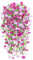 Yueshop 2 PCS Artificial Hanging Flowers, UV-Resistant Trailing Realistic Morning Glory Fake Artificial Plants Imitation Flowers for Home Garden Yard Patio Outdoor Decor(Fuchsia Gradient Purple)