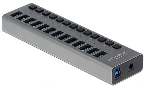 Delock Externer SuperSpeed USB Hub mit 13 Ports+ Schalter Digital/Daten