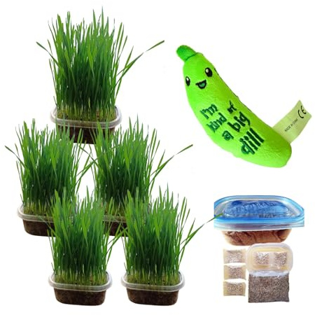 TheGuard Cat Grass Seeds 5 (Grow at Home Kit) & 1 Soft Cuddly Pickle-Pea Squeak Plush Catnip for Teeth Cleaning, Digestion Health and Fun