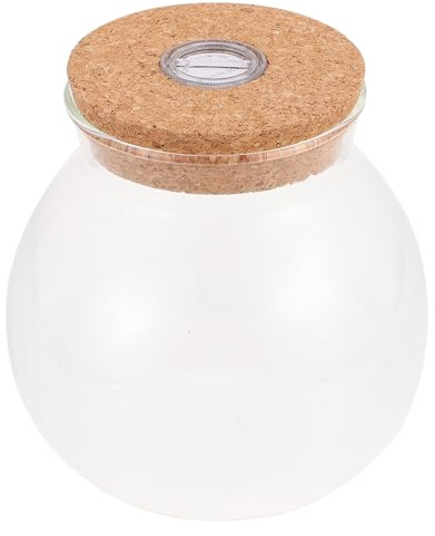 Ökologisches Glas Terrarium mit Deckel, LED Licht