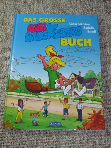 Das grosse Bibi Blocksberg Buch.