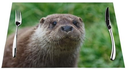 Eurasischer Otter-Tischsets für den Außenbereich, Porträt im Gras, waschbar, PVC, rutschfest, rechteckig, für Küche, Esstisch, Wärmeisolierung, 45 x 30 cm