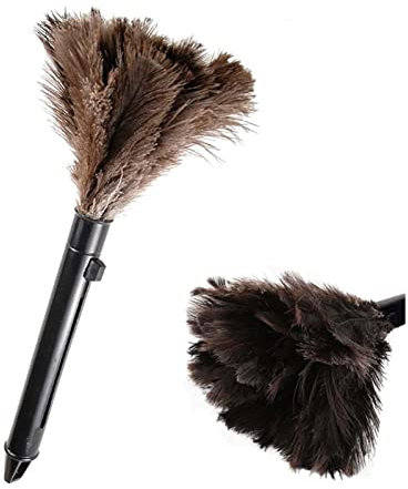 Excelente Capacidad Mini Plumero Reutilizable con, Recoge Polvo y Partículas Pequeñas, Lavable hasta 200 Veces, Plumas de Pollo Plumas Marrones ABS Compacto Portátil