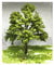 XXFFD The Train Railway Wire Trees Model Tree 10-20 Cm (Size : 20cm 1pcs)