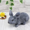 STEINFIGUREN SPICKER Steinfigur Hase Zwergkaninchen 225/1, Gartenfigur Steinguss Tierfigur Basaltgrau